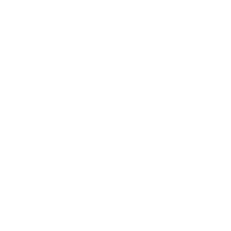 H-Gin
